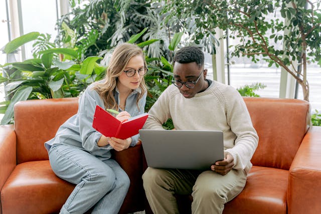 Felstarvenia път към енергия